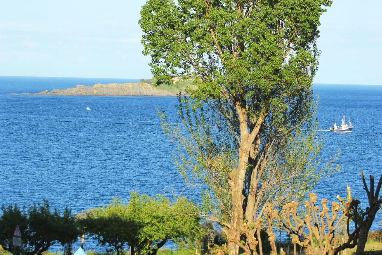 Aurrekoetxea 36 Vr, Talako Izarra Bermeo Exterior foto